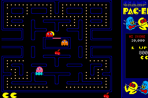 CHAMP Pac-em 5