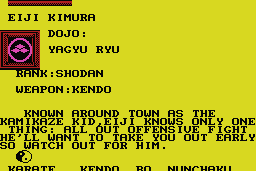 Budokan: The Martial Spirit 10