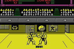 Budokan: The Martial Spirit 8