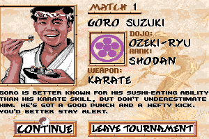 Budokan: The Martial Spirit 11