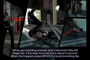 Catwoman 2