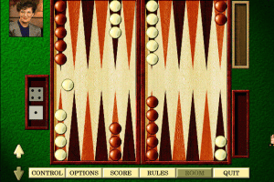 Hoyle Classic Games 1