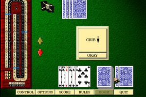 Hoyle Classic Games 5