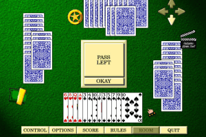 Hoyle Classic Games 7
