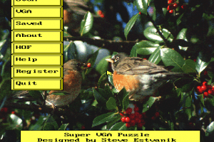 Super VGA Puzzle 0