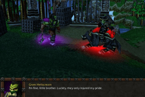 WarCraft III: Reign of Chaos 14